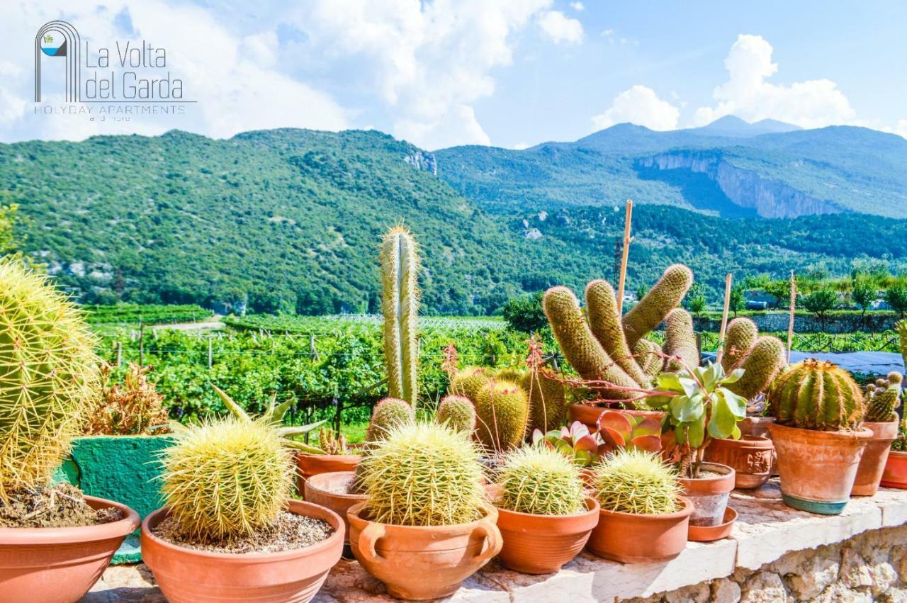 La Volta Del Garda Apartment Torbole Sul Garda Екстериор снимка